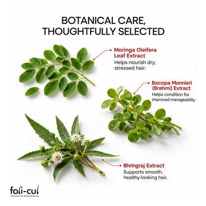 A botanical care infographic on a white background showing three herbal plant extracts with callout labels: Moringa Oleifera Leaf Extract, Bacopa Monnieri (Brahmi) Extract, and Bhringraj Extract. The foli-cul brand logo appears in the lower left corner.